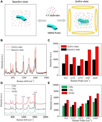 Magnetically-actuated hydrogel-based achiral planar microswimmers for SERS detection: In situ coprecipitation for continuous loading of iron oxide nanoparticles